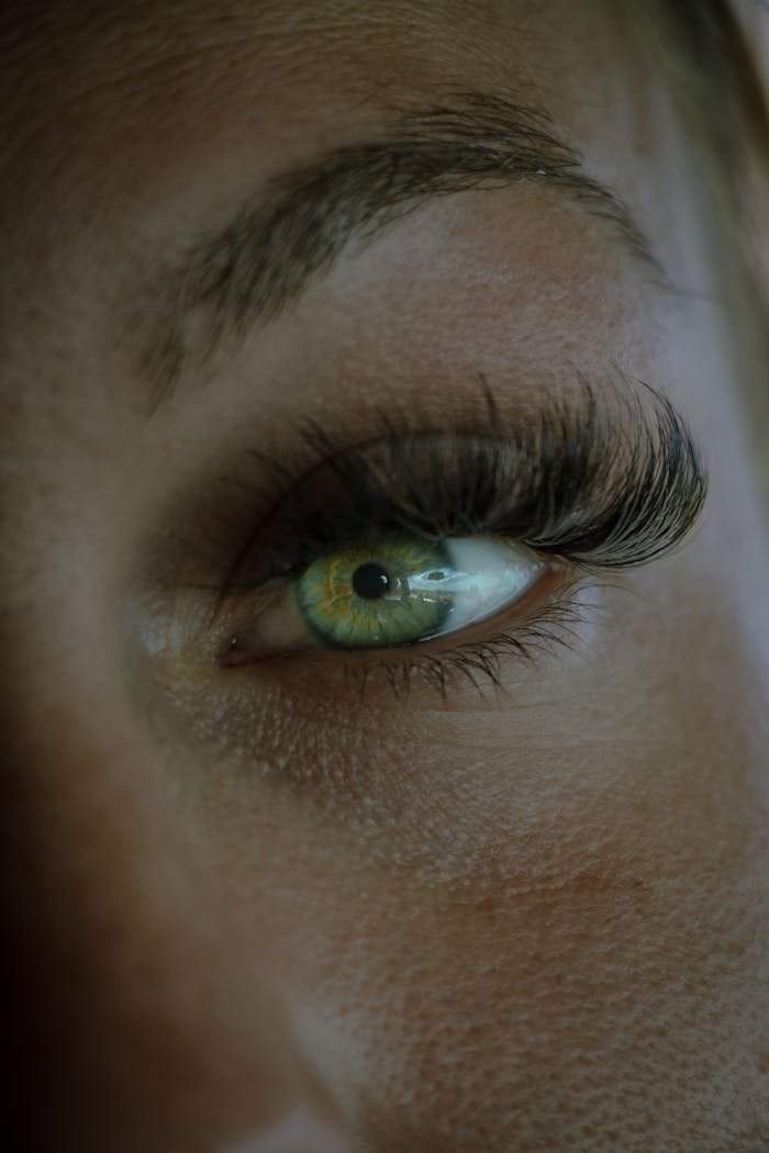 A detailed close-up of a green eye with long eyelashes capturing intricate details.